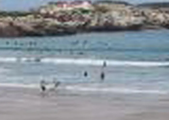 Brandneue Strandwohnung 2 By Interhome Apartment Ferrel (Leiria)